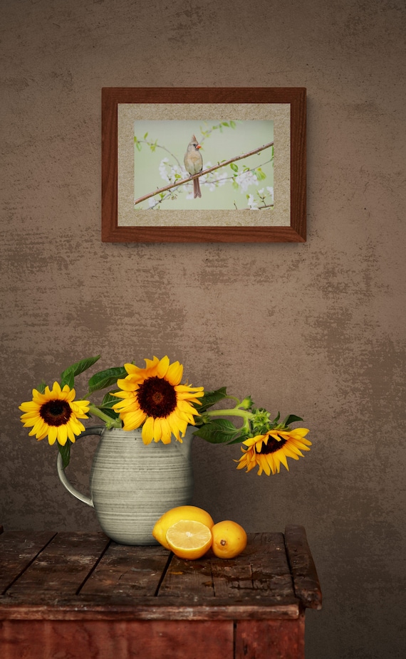 Female Cardinal Print | Spring Bird Photography | Cardinal & Blossoms Wall Art