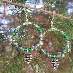 The Peaceful Pine Forest