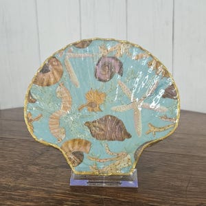 Sea Shells on a Sea Shell