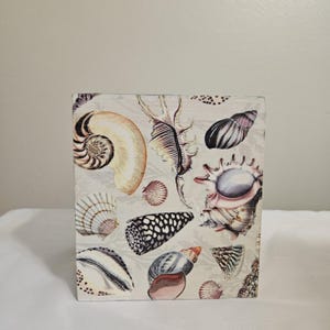 May include: A square decorative block featuring a collage of various seashells in shades of beige, brown, black, and pink. The seashells are arranged on a light gray background with a subtle pattern. The block is a decorative item.