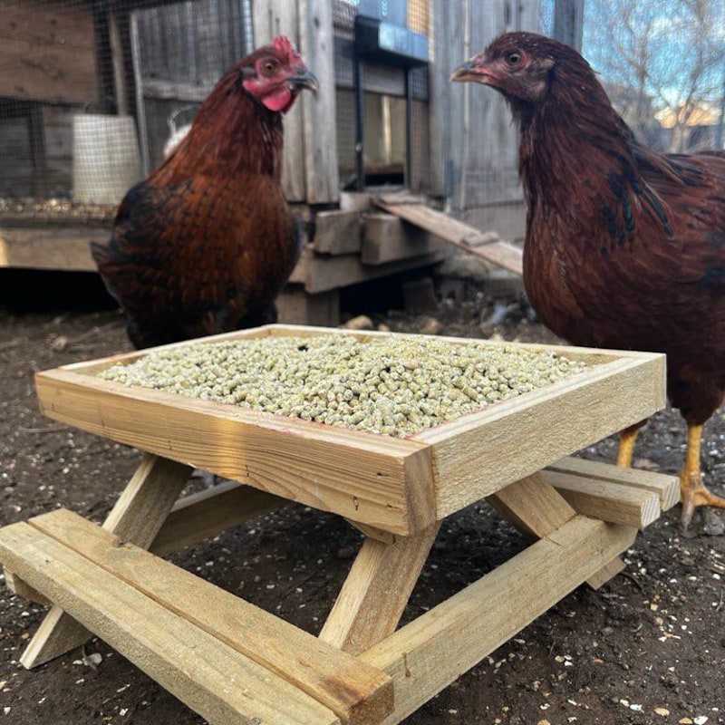 Chicknic Table - Etsy