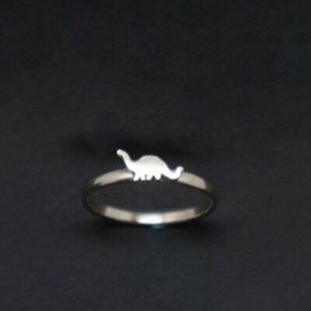 Dinosaur Couple Ring Dinosaur Ring Set Dinosaur Promise Ring Set