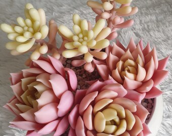 Handcrafted Ceramic Desktop Decor Nature Inspired Elegance for Your Workspace