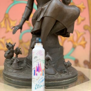 May include: White water bottle with a colorful illustration of Cinderella's castle and the Disney logo. The bottle is covered in colorful signatures and names, including "Cinderella", "Elsa", and "Ariel".