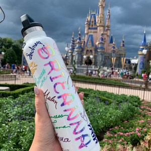 May include: A white water bottle with a rainbow iridescent design and the name "BRIARNA" written in colorful script. The bottle is being held in front of Cinderella's Castle at Walt Disney World.