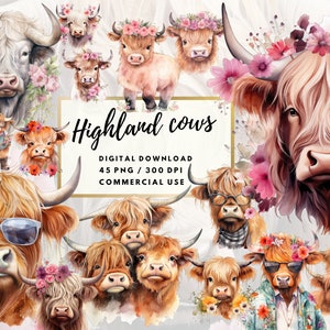 Highland cow watercolor clipart, baby cow, cow clip art bundle, cow png clipart, cow watercolor, baby animal clipart, png digital download