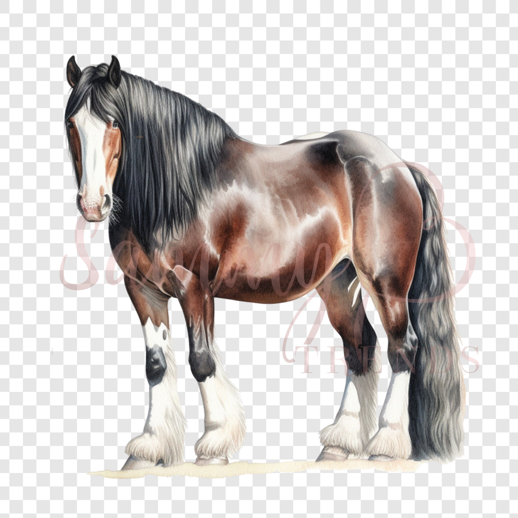 Shire Horse Clipart, Horse Clip Art, Horses, Horse, Transparent Png ...