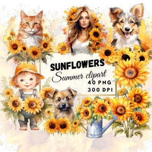 Sunflowers watercolor transparent png clipart, flower clipart, digital, watercolor clip art, commercial use, digital download,