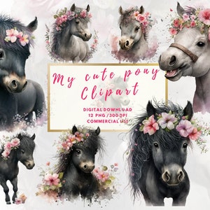 Pony Clipart, Acuarela de caballo, Imágenes prediseñadas de caballo, Equitación, Potro, Equino, Caballo, Uso POD, Acuarela digital, Uso comercial, png