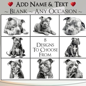 Tarjeta de Staffordshire Bull Terrier: agregue su texto + nombre ~ Mensaje interior ~ Cualquier ocasión o en blanco ~ Staffordshire Bull Terrier, Staffy, perro, mascota, canino, retrato de perro