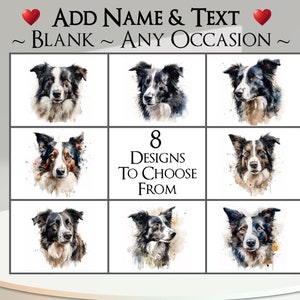 Tarjeta de Border Collie: agregue su texto + nombre ~ Mensaje interior ~ Cualquier ocasión o en blanco ~ Canino, retrato de perro, mascota, cachorro, perro pastor de trabajo