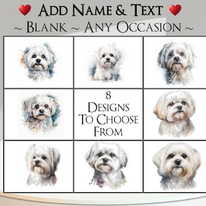 Maltese kaart: tekst + naam toevoegen ~ bericht binnen ~ elke gelegenheid ~ Maltese hond, hond, portret, kleine hond, hond