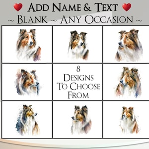 Colliekaart: tekst en naam toevoegen ~ bericht binnen ~ elke gelegenheid ~ collie, hond, hondenportret, huisdier, hond, puppy
