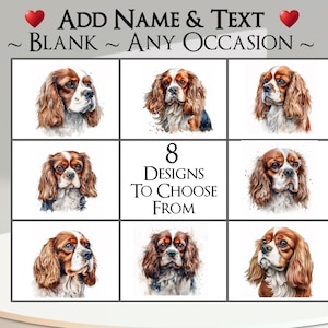 Tarjeta de Cavalier King Charles Spaniel: agregue su texto + nombre ~ Mensaje interior ~ Cualquier ocasión o en blanco ~ Canino, retrato de perro, mascota, cachorro