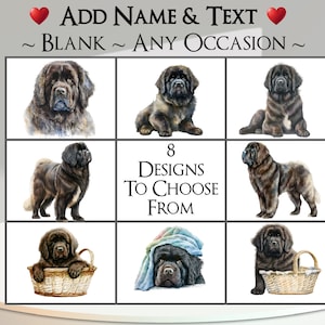 Neufundländer Karte: Fügen Sie Ihren Text + Name ~ Inside Nachricht ~ Jede Gelegenheit ~ Neufundländer, Hund, Canine, Hundeportrait, großer Hund