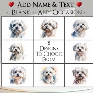 Carta maltese: aggiungi il tuo testo + nome ~ Messaggio interno ~ Qualsiasi occasione ~ Cane maltese, Canino, Ritratto di cane, Animale domestico, Cane di piccola taglia