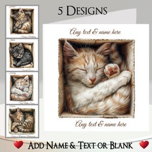 Cat In A Box Card: Add Your Text + Name, Inside Message, 5 Designs. Kitten, Tabby, Ginger, White, Feline, Pet, Cute Cat, Sleeping
