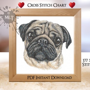 May include: Cross stitch chart of a pug dog portrait, framed in light wood. The image includes the text "Cross Stitch Chart" and "PDF Instant Download". The chart measures 177 x 168 stitches.