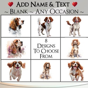 Spaniëlkaart: tekst en naam toevoegen ~ binnenbericht ~ elke gelegenheid of blanco ~ Springerspaniël, Welsh springer, hond, huisdier, hond, portret huisdier