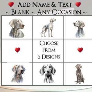 Weimaraner-kaart: voeg je tekst + naam toe ~ binnenbericht ~ elke gelegenheid ~ weimaraner, hond, huisdier, hoektand, hondenportret