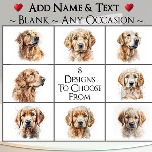 Golden Retriever-kaart: tekst + naam toevoegen ~ binnenbericht ~ elke gelegenheid ~ hond, retriever, hond, portret, huisdier, hond