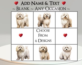 Coton de Tulear Card: Add Your Text + Name ~ Inside Message ~ Any Occasion ~ Canine, Dog Portrait, Pet, Dog