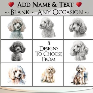 Poedelkaart: voeg je tekst en naam toe ~ binnenbericht ~ elke gelegenheid of blanco ~ speelgoedpoedel, Franse poedel, hond, hondenportret