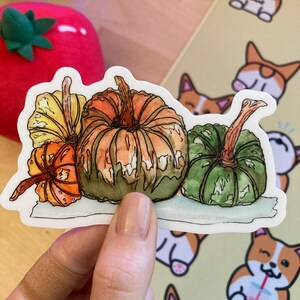 Fall Pumpkins || Autumn, Cozy, Matte Vinyl, Watercolor, Holiday Stickers