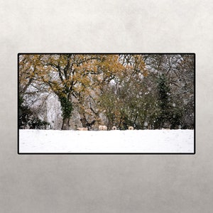Samsung Frame TV Art Winter Sheep Christmas Decor Snowy Forest Photography Winter Scene 4k Samsung Frame Art TV JPEG Digital Download
