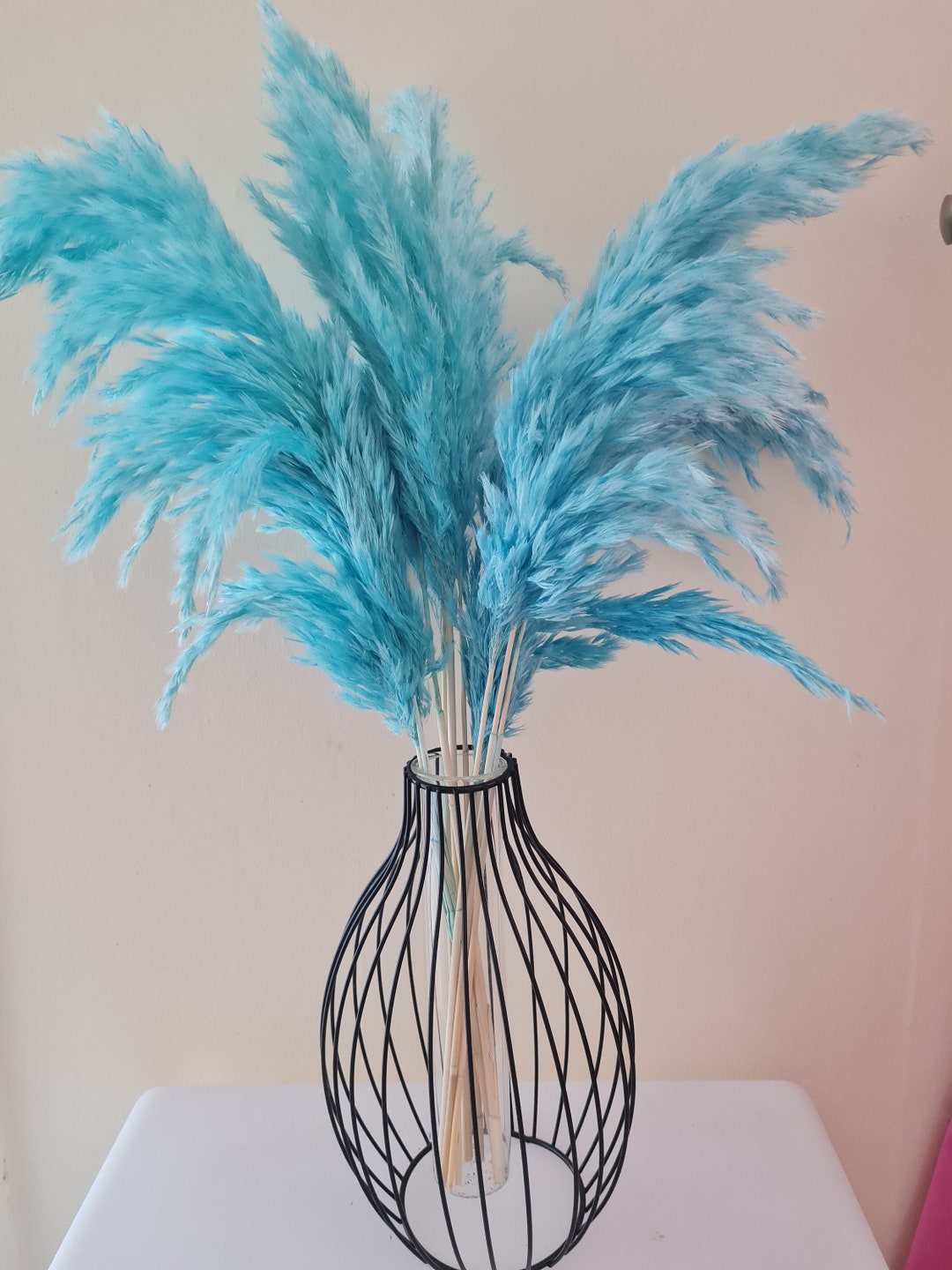 Blue Fluffy Pampas Grass/ Pampas Grass / Blue Pastel Dried Etsy UK