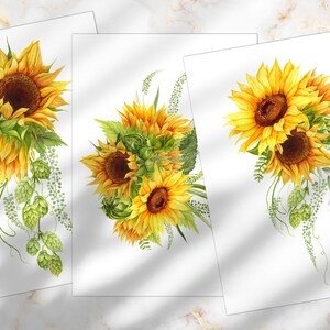May include: Three watercolor illustrations of sunflowers with green leaves and vines. The sunflowers are yellow with brown centers. The leaves and vines are green.