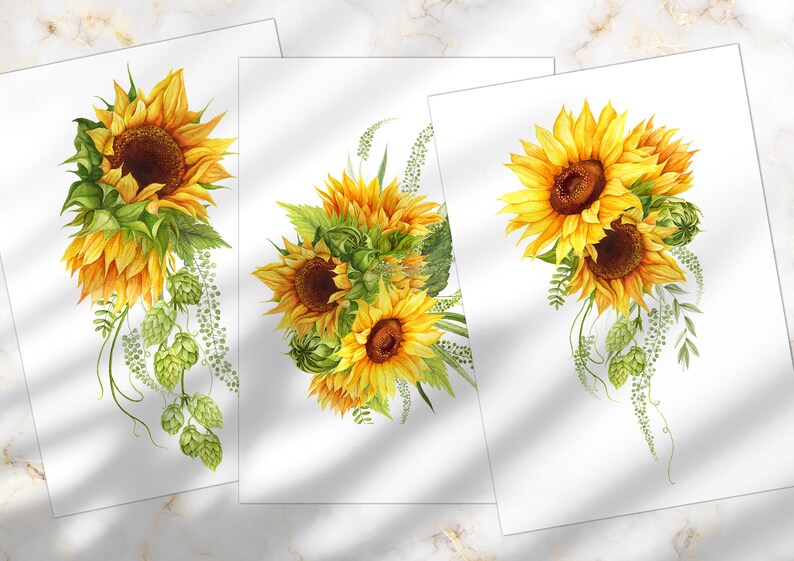 May include: Three watercolor illustrations of sunflowers with green leaves and vines. The sunflowers are yellow with brown centers. The leaves and vines are green.