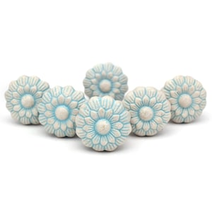 Könnte beinhalten: Sechs Keramik-Schubladengriffe in Form einer Blume mit weißem Zentrum und hellblauen Blütenblättern.