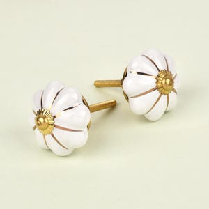 Può includere: Due pomelli per armadietti in ceramica bianca con un design floreale e dettagli dorati. I pomelli hanno una base color oro e un perno filettato per una facile installazione. Questi pomelli decorativi sono perfetti per aggiungere un tocco di eleganza a qualsiasi mobile.