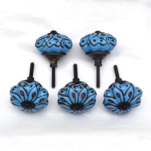 May include: Six blue ceramic cabinet knobs with black and red floral designs. The knobs have a black metal screw.