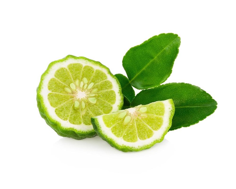 Restoring Eden Nursery Thai Lime Tree