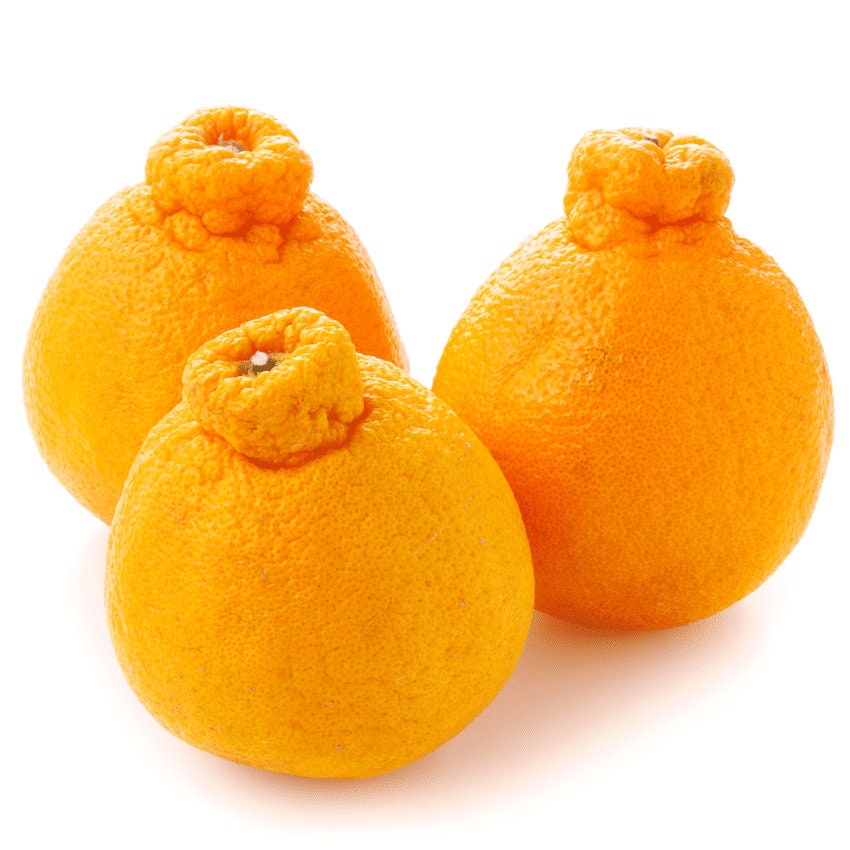 My local grocer knows how to sell sumo mandarins : r/Sumo