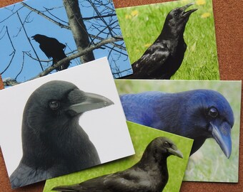 Zo Crow Greeting Cards