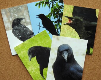 Zo Crow Greeting Cards