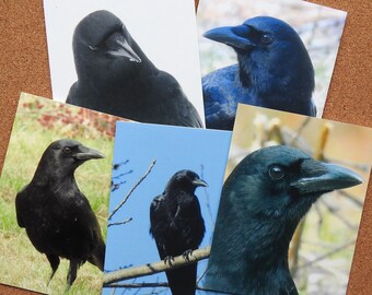 Zo Crow Greeting Cards