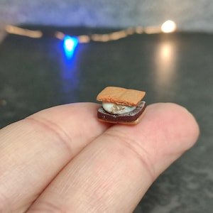 Könnte beinhalten: Ein Mini-S'more aus Graham-Crackern, Schokolade und einer weißen Marshmallow.