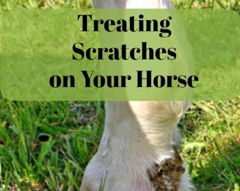 Horse Tips- Treating Scratches PDF- Horse Care Info