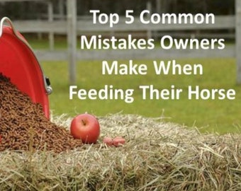 Horse Care- Common Mistakes When Feeding- PDF Download