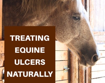 Horse Product- Natural Solutions for Equine Ulcers- Educational PDF