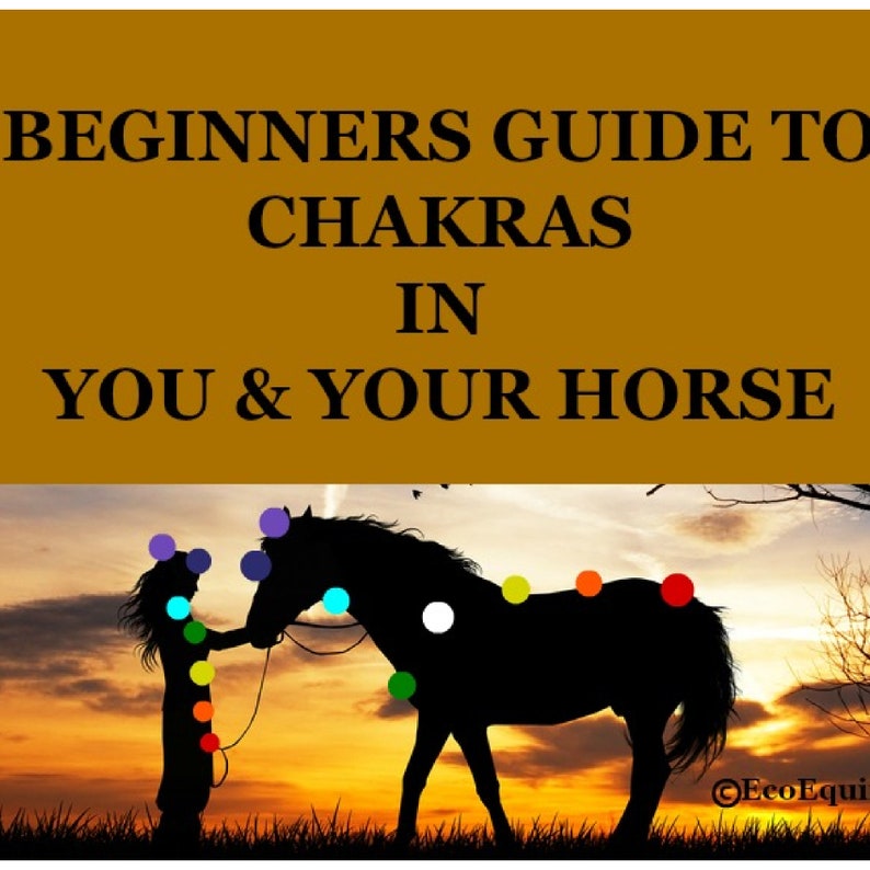 Horse Info GUIDE TO CHAKRAS Digital Download Equine Education zdjęcie 1
