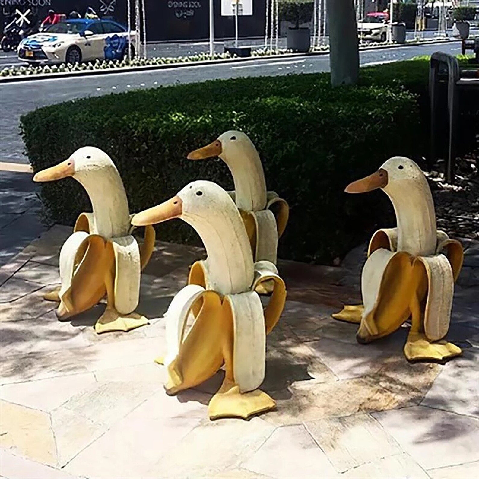 Arte creativo Banana Duck Garden Decoración lindo pato | Etsy