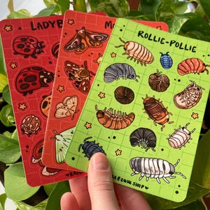 Bug Sticker Sheets Set, Insect, Beetle, Bug Art, Isopod, Ladybug, Moth, for gift teen, Colorful, Stars, Cute, for journal, sketchbook