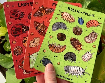 Bug Sticker Sheets Set, Insect, Beetle, Bug Art, Isopod, Ladybug, Moth, for gift teen, Colorful, Stars, Cute, for journal, sketchbook