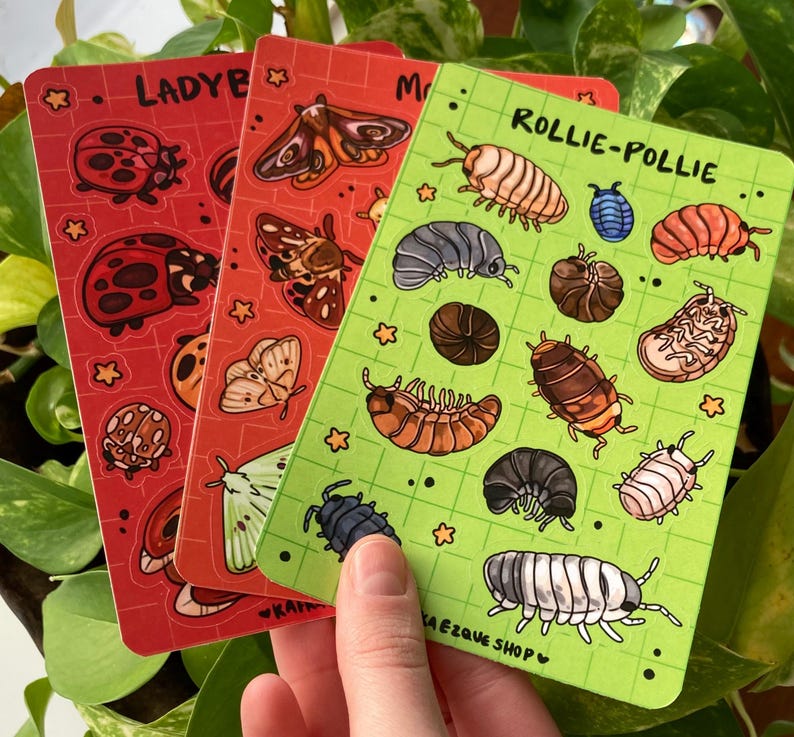 May include: Three colorful cards featuring insect illustrations. One card is red with ladybug designs, another is red with moth and butterfly designs, and the third is green with rollie-pollie designs. The cards are held in a hand.