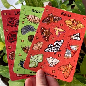 May include: Three colorful sticker sheets featuring insect illustrations. One red sheet has ladybug designs, a green sheet has rollie bug designs, and a red sheet has moth designs. Each sheet has a grid pattern and star accents. The shop name is visible.